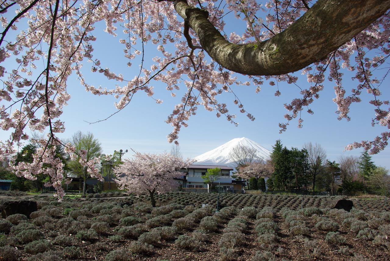 Togawaso Fujikawaguchiko Exterior foto